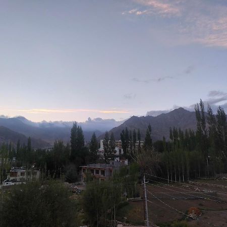 Hotel Alpine Ladakh Leh Exterior photo